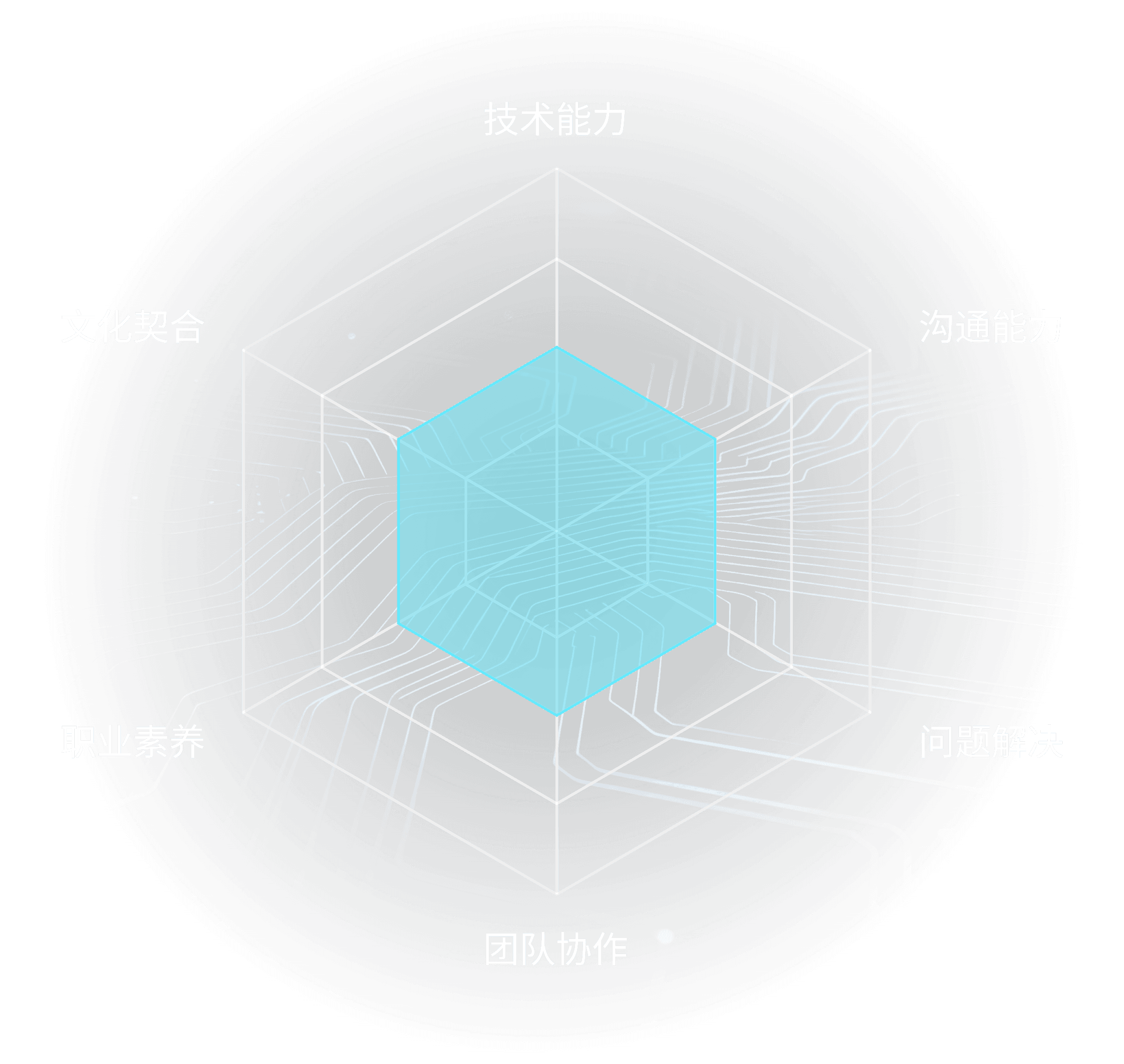评分与量表体系