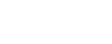 PayInOne Logo